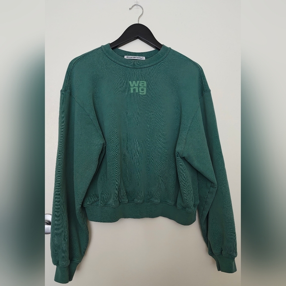 Alexander Wang Pullover Sweater 🌱 - Picture 1 of 8